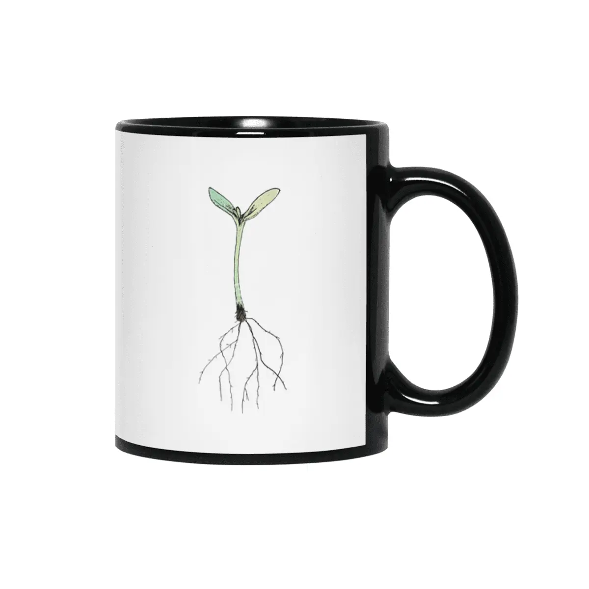 sprout Siyah Kupa