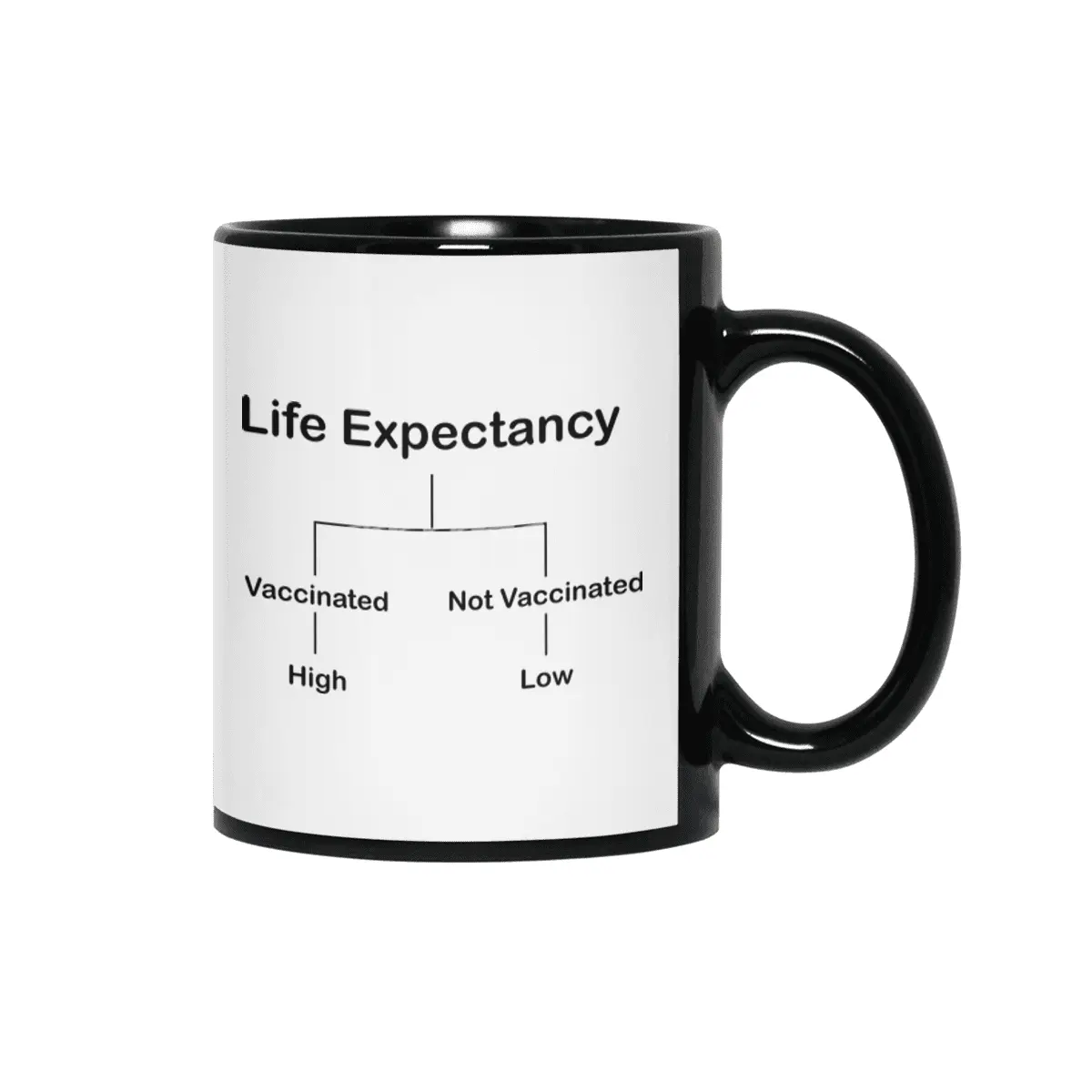 Life Expectancy Siyah Kupa