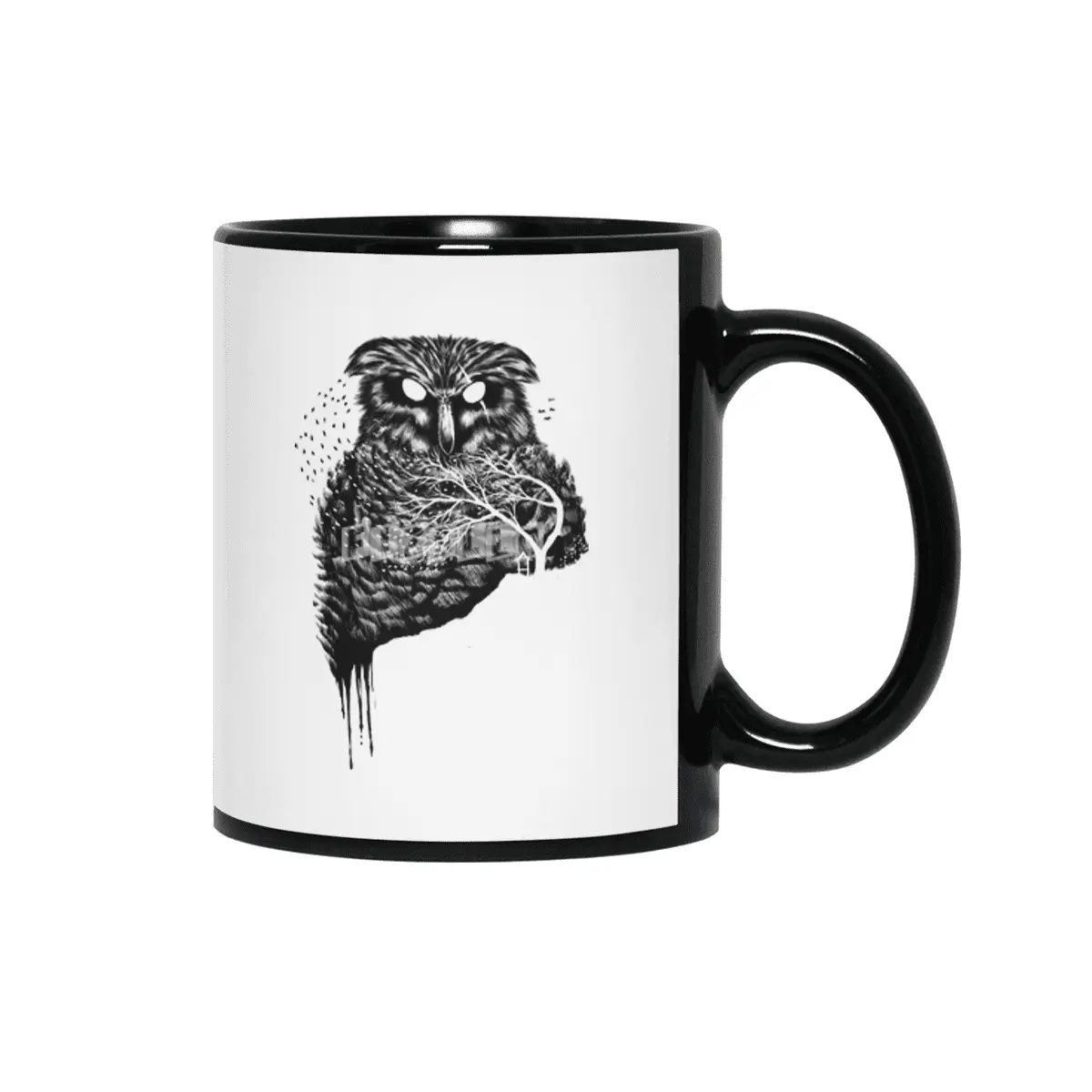 Autumn owl Siyah Kupa