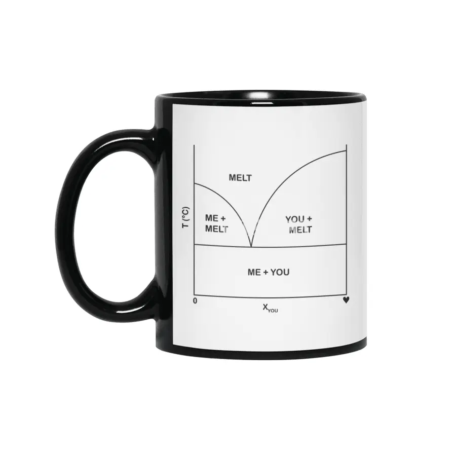 Romantic phase diagram (black ink) Siyah Kupa