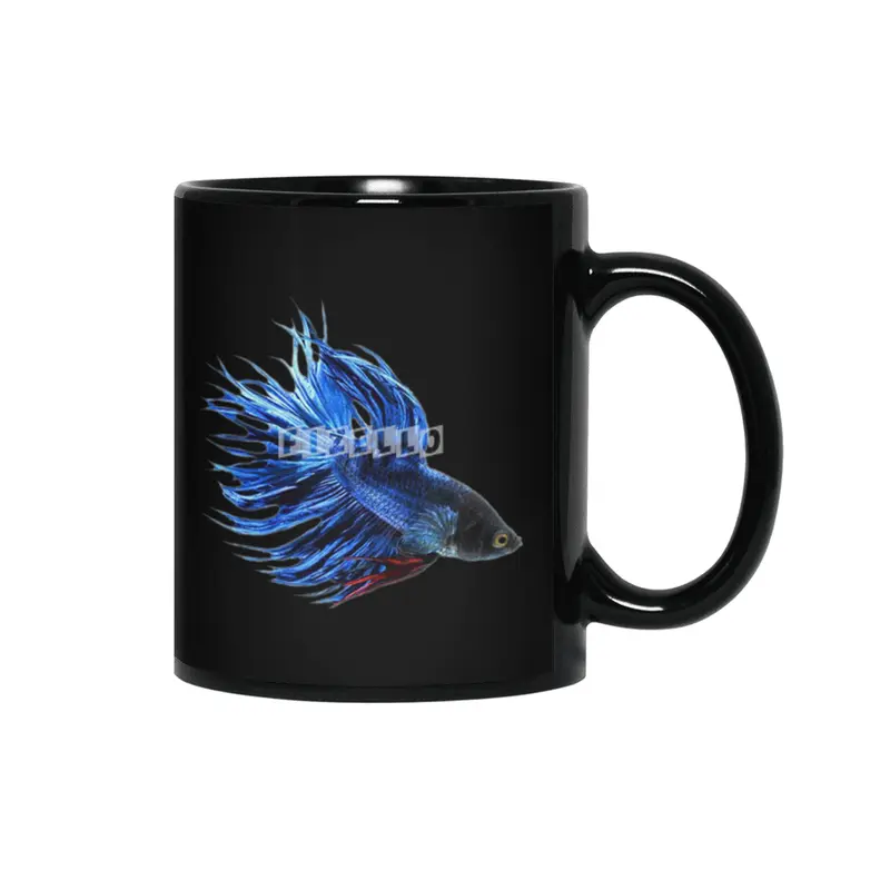 Royal Blue and Red Betta Fish Crowntail Male Swimming Beautiful Colors Siyah Kupa