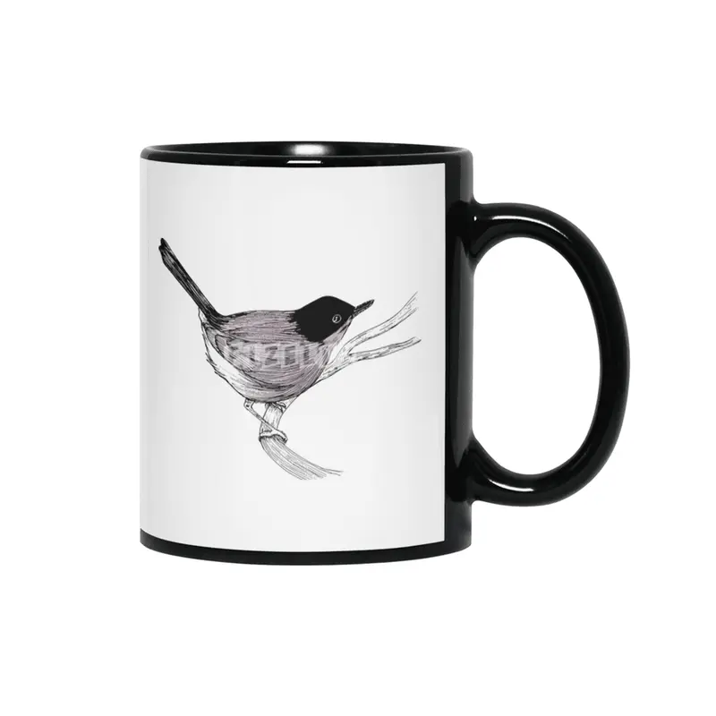 Blackcap Bird Siyah Kupa