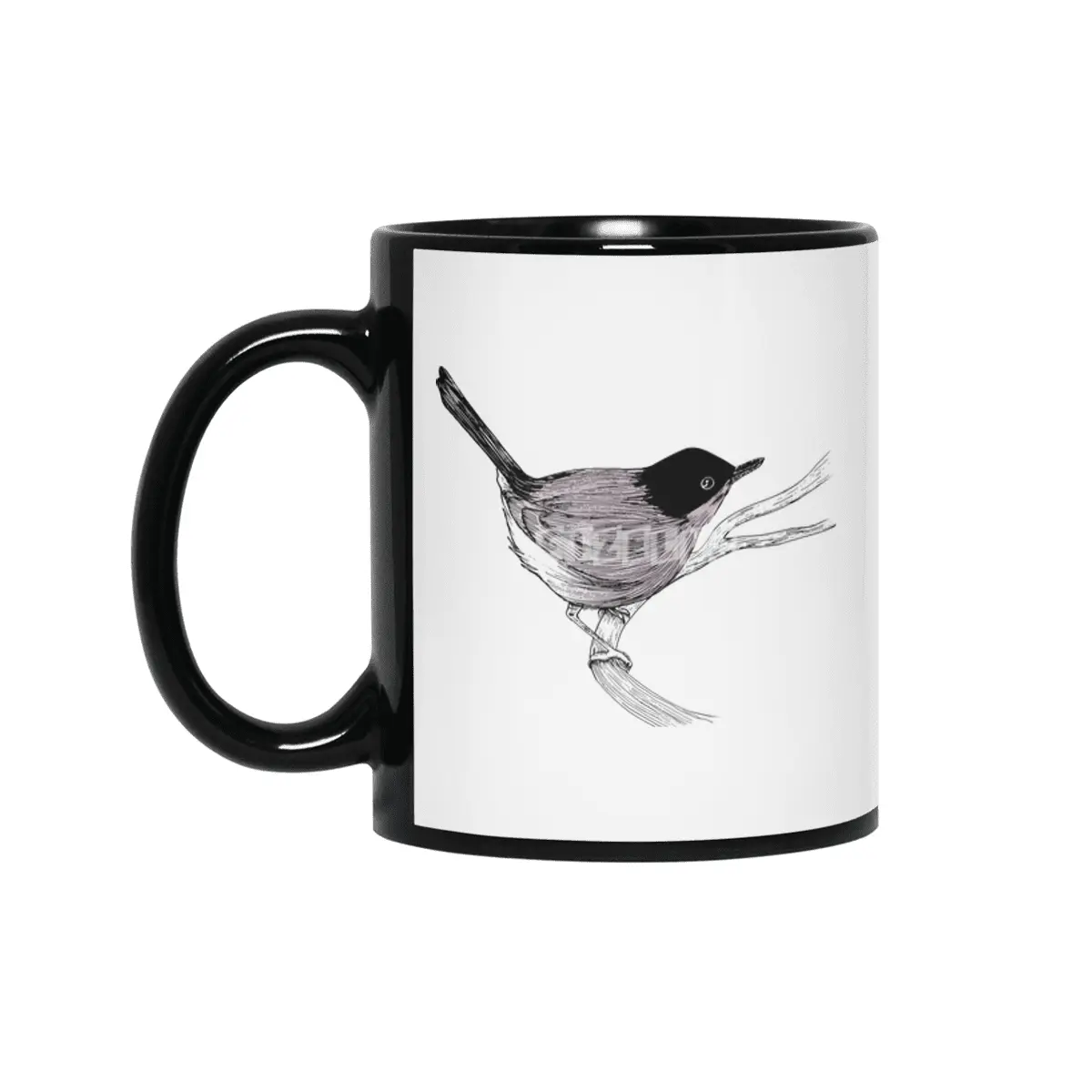 Blackcap Bird Siyah Kupa