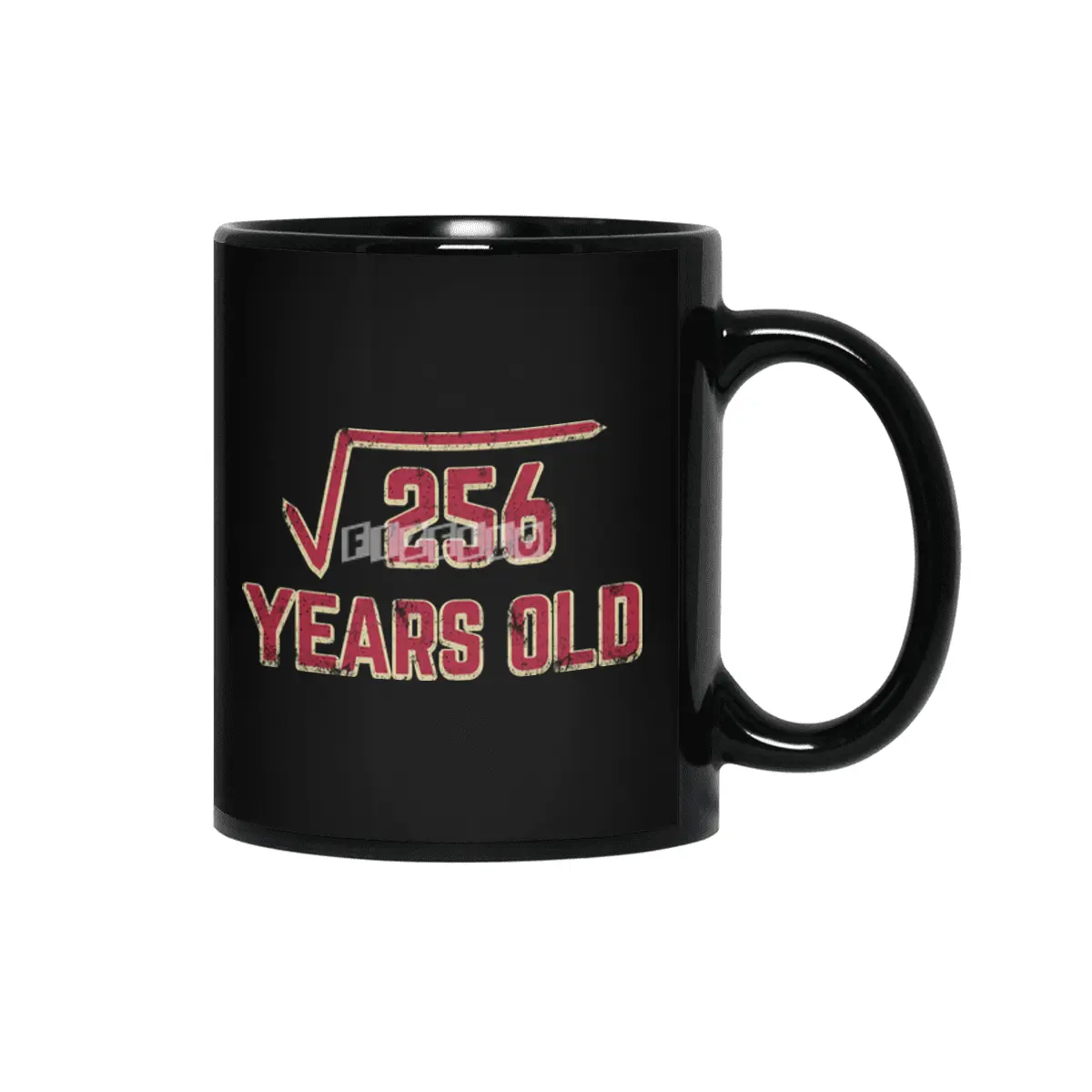16th Birthday Gift Square Root of 256 Siyah Kupa