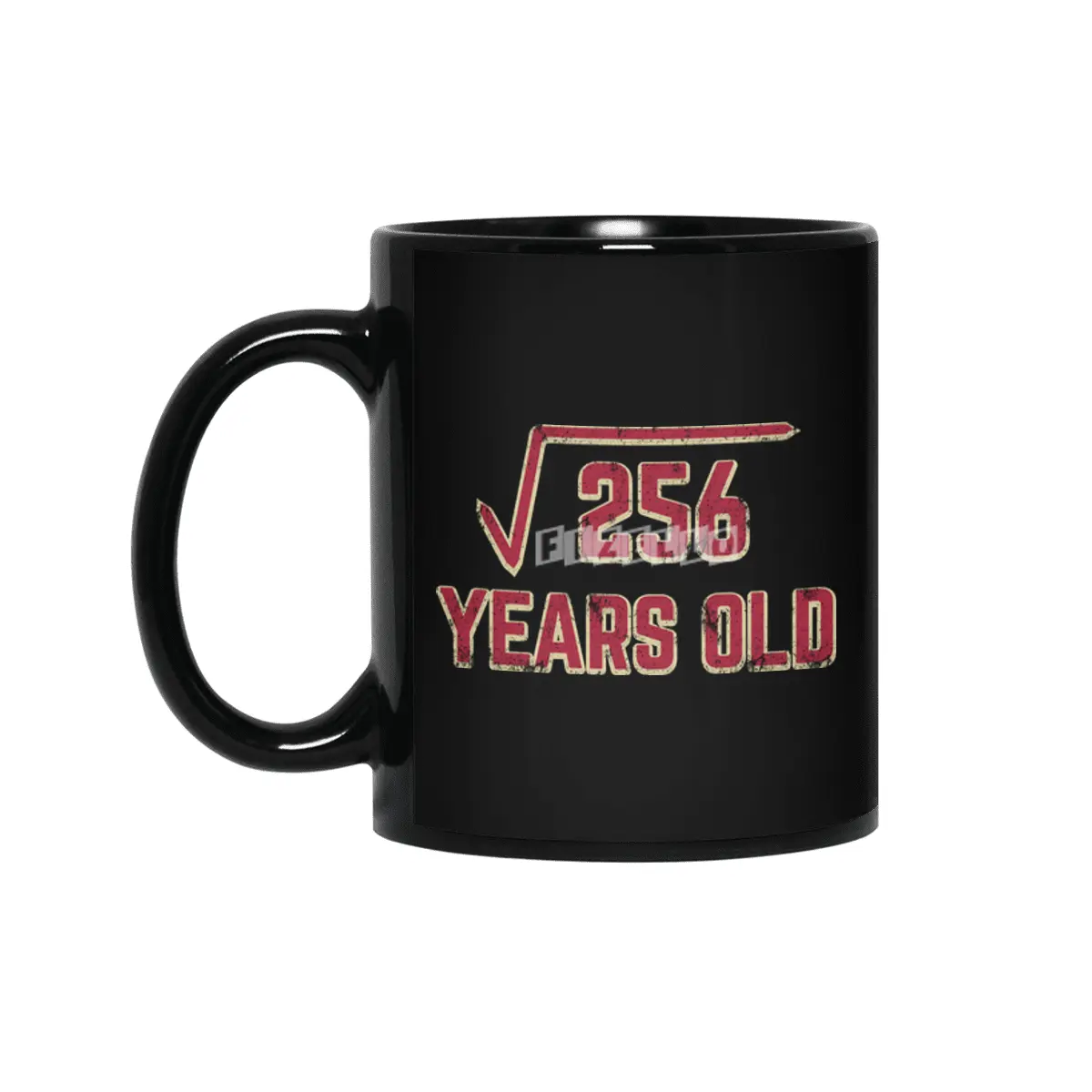 16th Birthday Gift Square Root of 256 Siyah Kupa