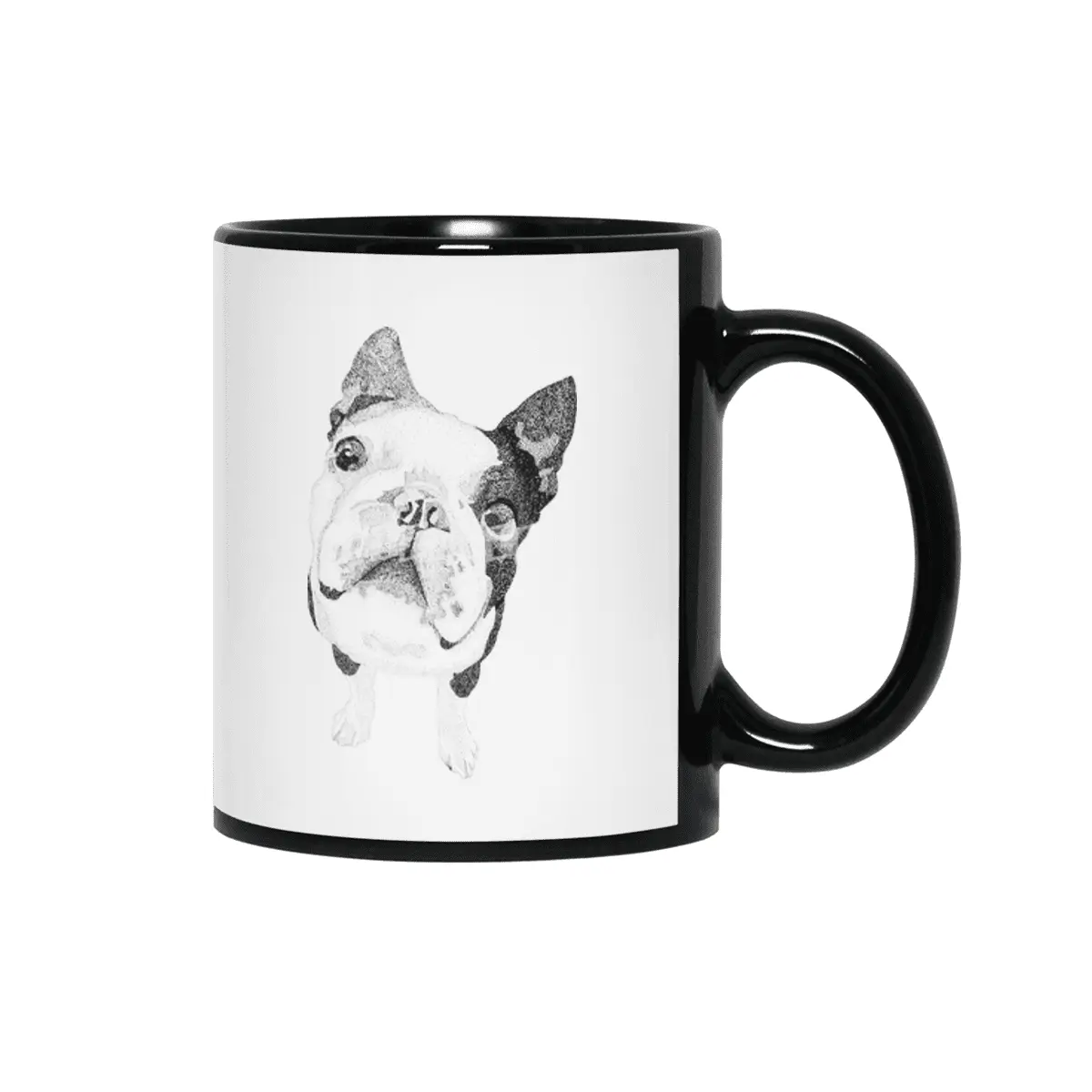Boston Terrier Siyah Kupa