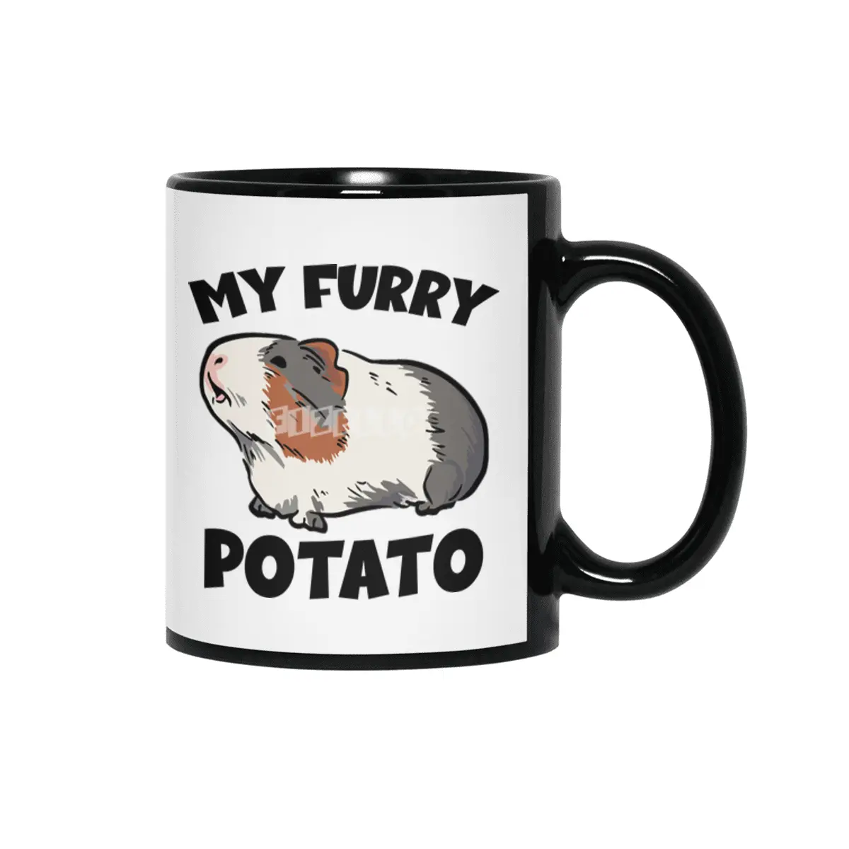 My furry potato guinea pig Siyah Kupa