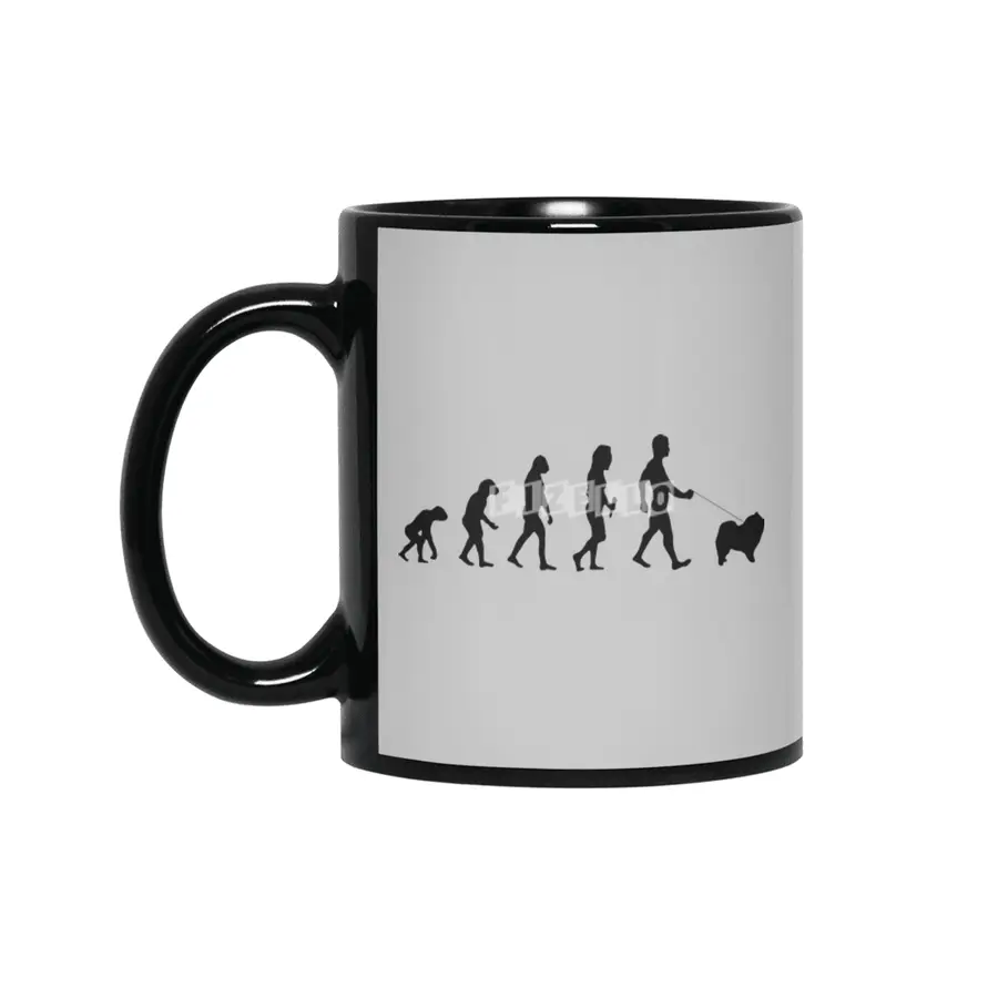 Evolution Of Labrador Logo Funny Siyah Kupa