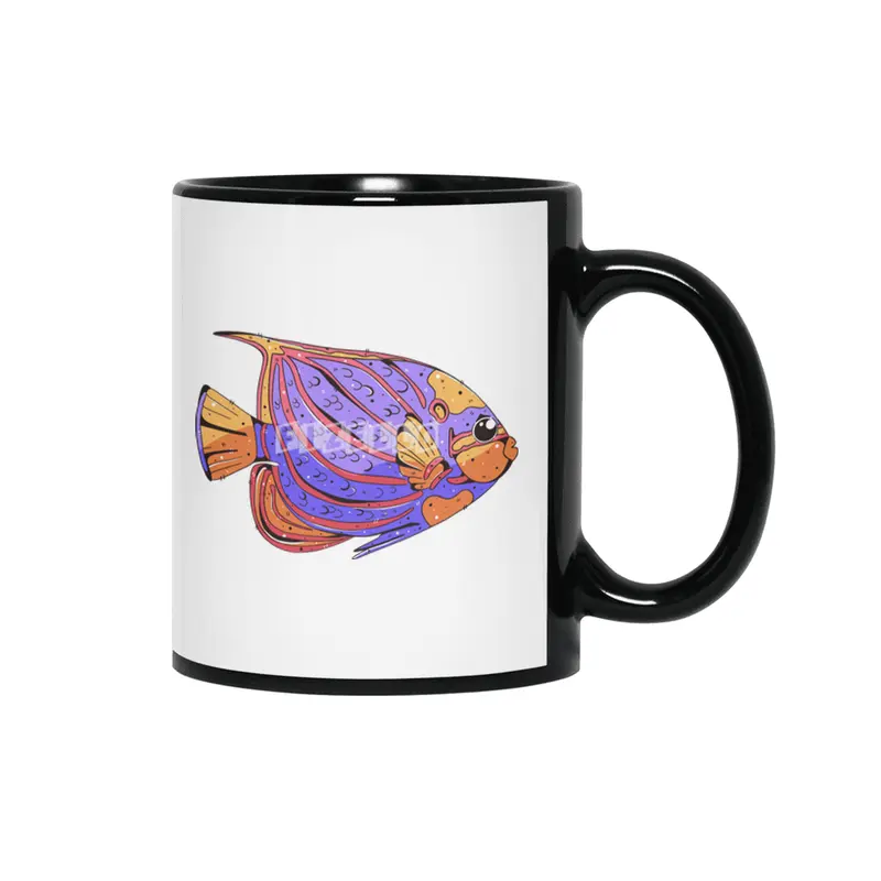 Bluering Angelfish Siyah Kupa