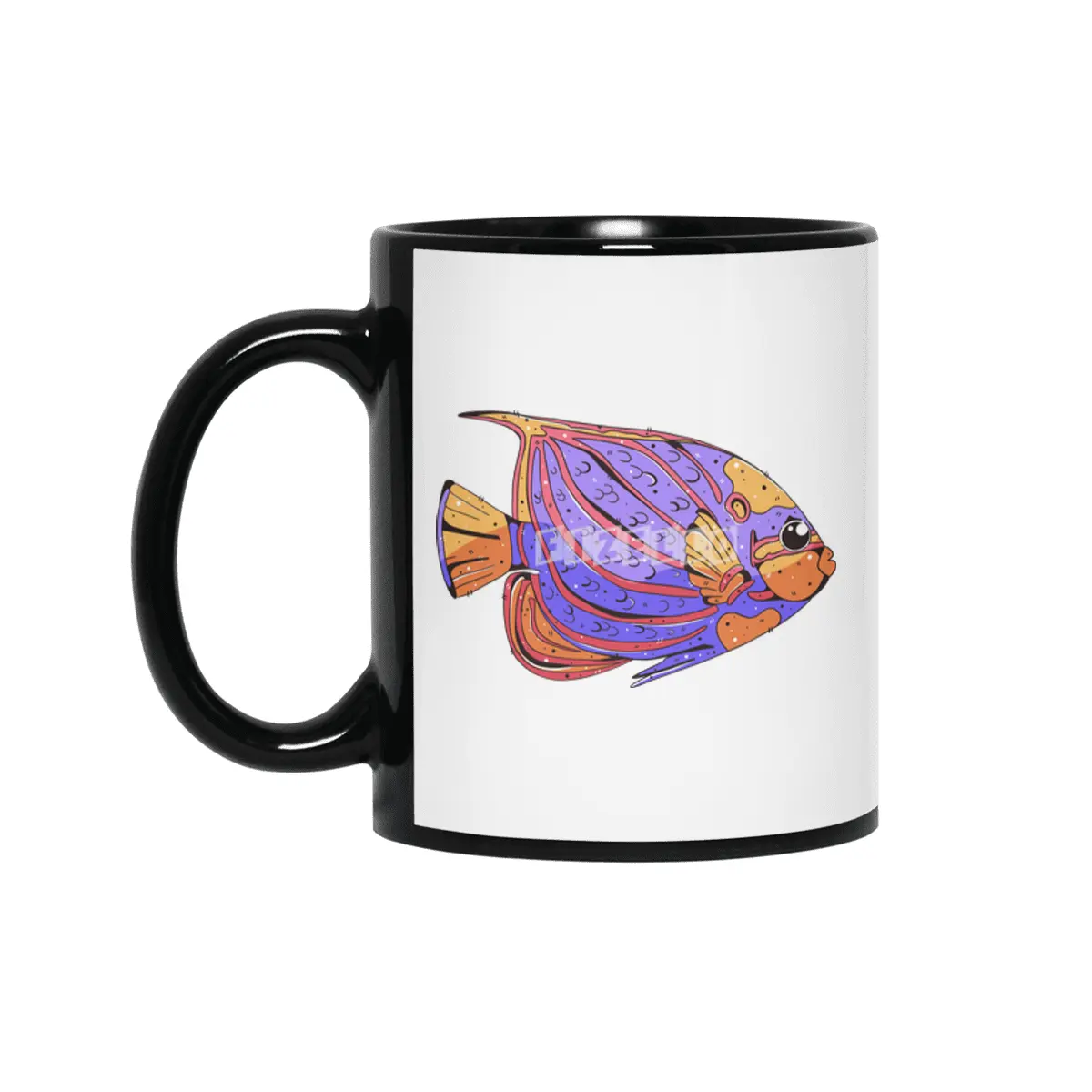 Bluering Angelfish Siyah Kupa