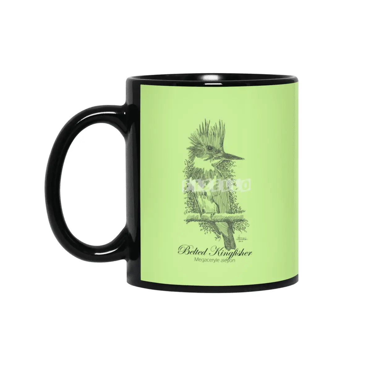Belted Kingfisher Siyah Kupa