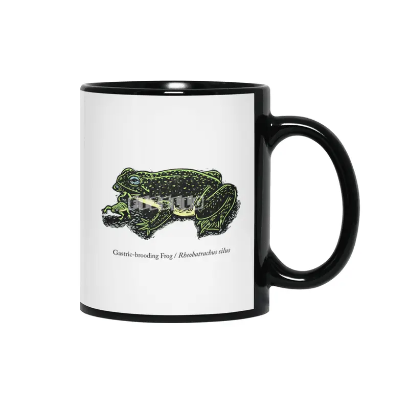 Gastric-brooding Frog Siyah Kupa