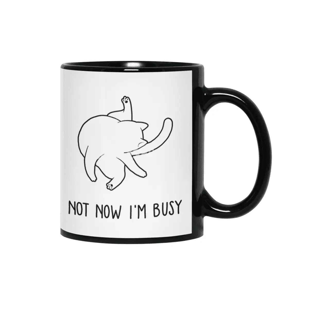 BUSYCAT Siyah Kupa