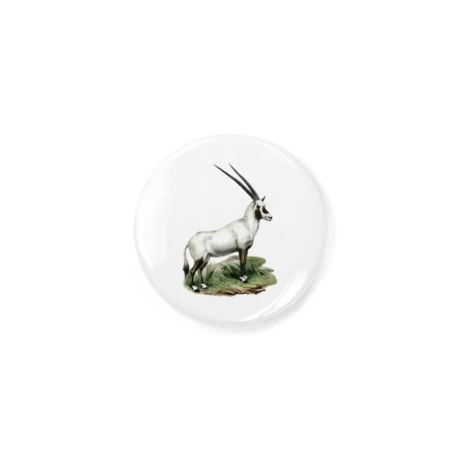 Arabian Oryx Açacak