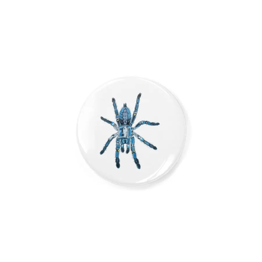 Gooty Blue Sapphire Tree Spider Açacak