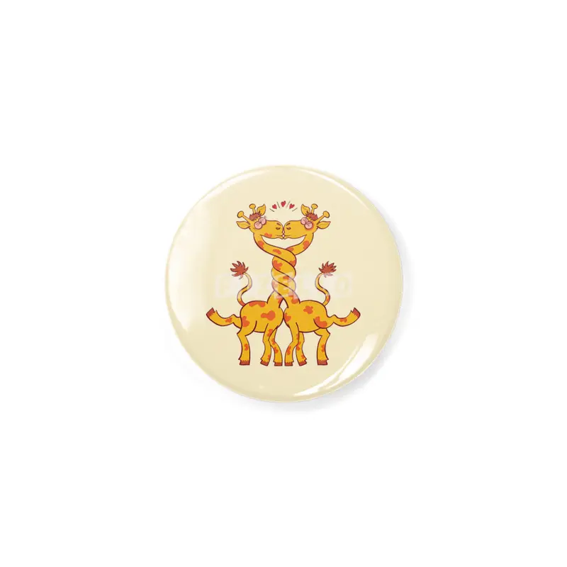 Sweet couple of giraffes in love intertwining necks and kissing Açacak
