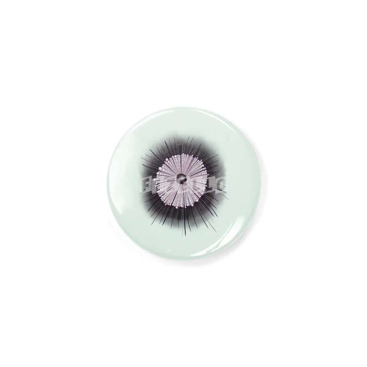 Heliozoa Microbe Microbiology Geek Digital Art Açacak