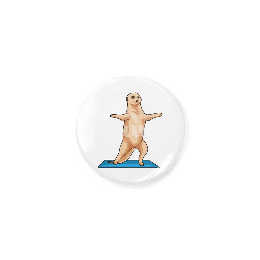 Meerkat at Fitness Stretching exercise Açacak