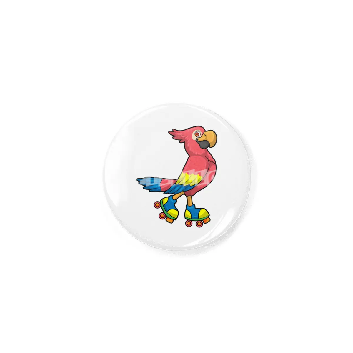 Parrot as Skater with Roller skates Açacak