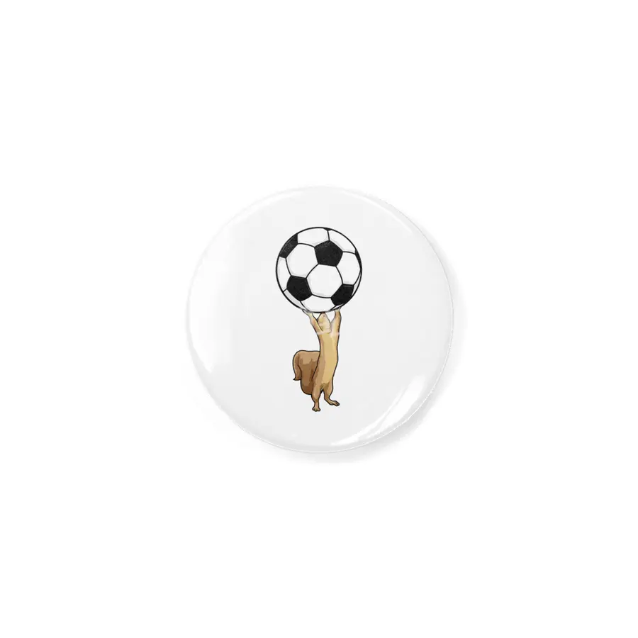 Squirrel with Soccer ball Açacak