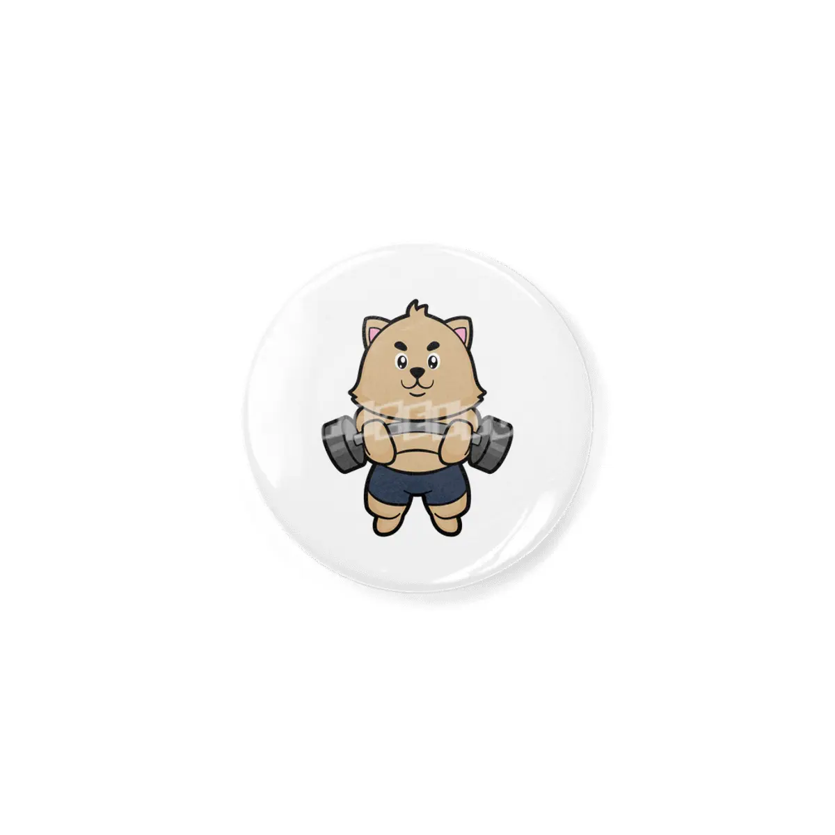 Cat at Bodybuilding with Barbell Açacak