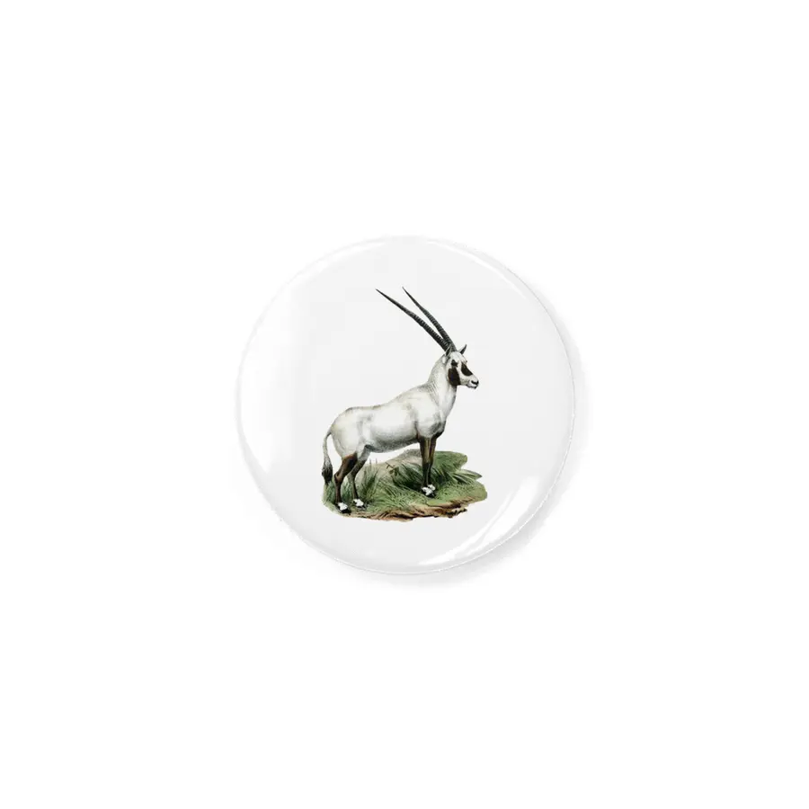 Arabian Oryx Rozet