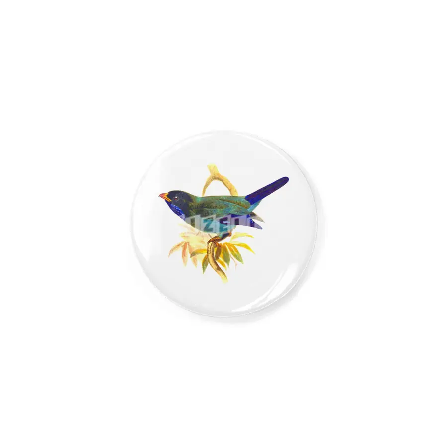 Cute birds #5 Rozet
