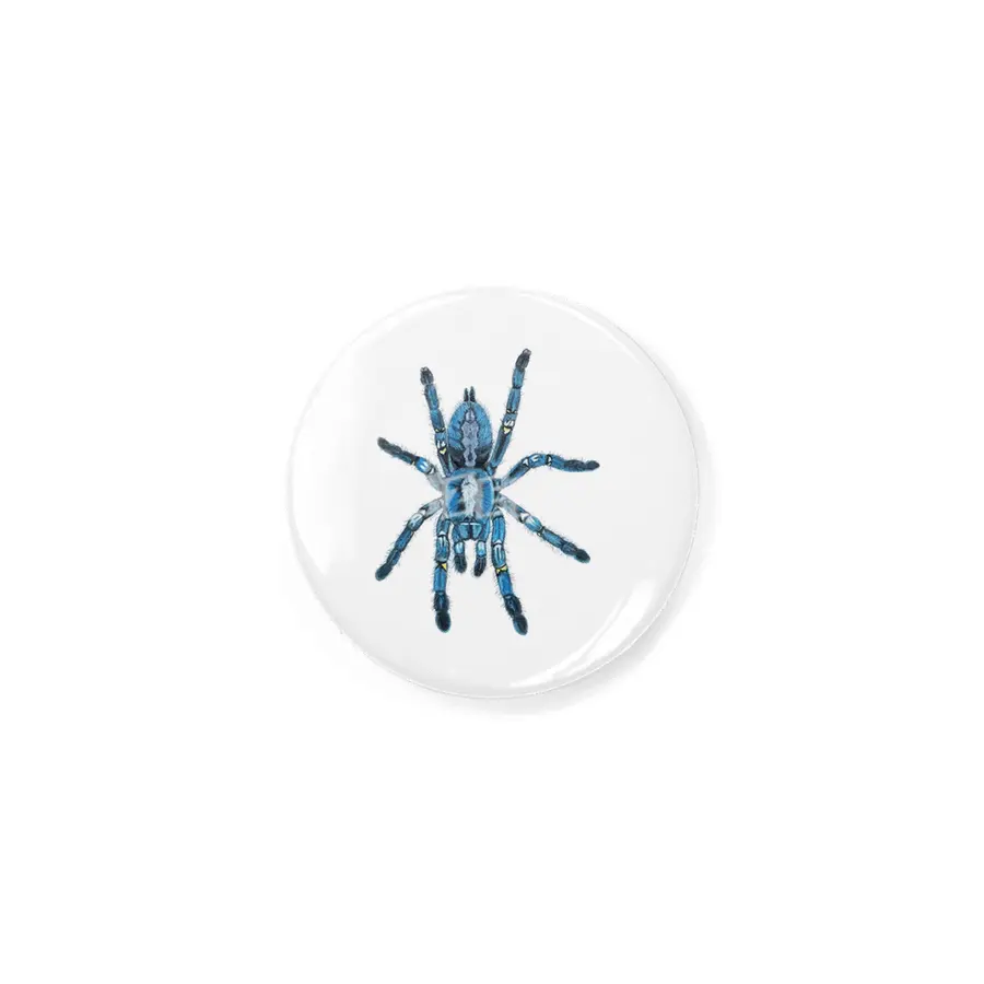 Gooty Blue Sapphire Tree Spider Rozet