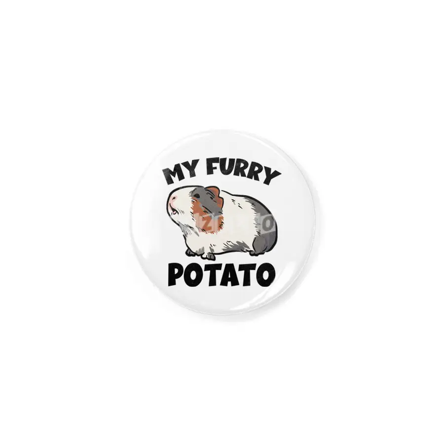 My furry potato guinea pig Rozet