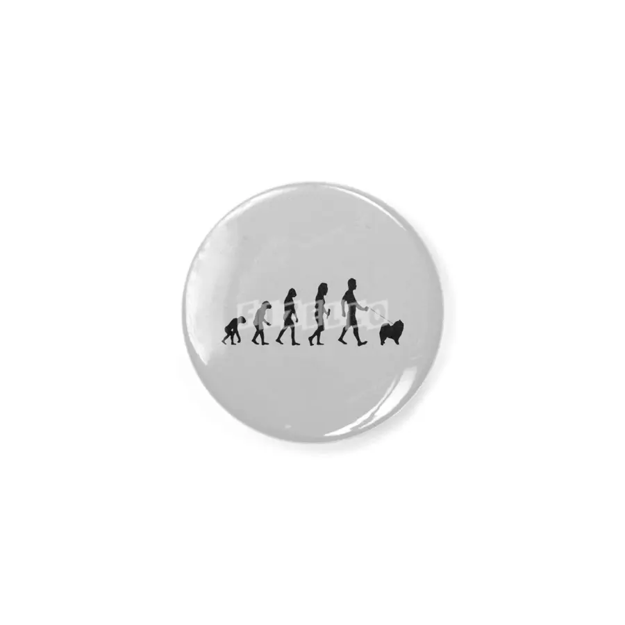 Evolution Of Labrador Logo Funny Rozet