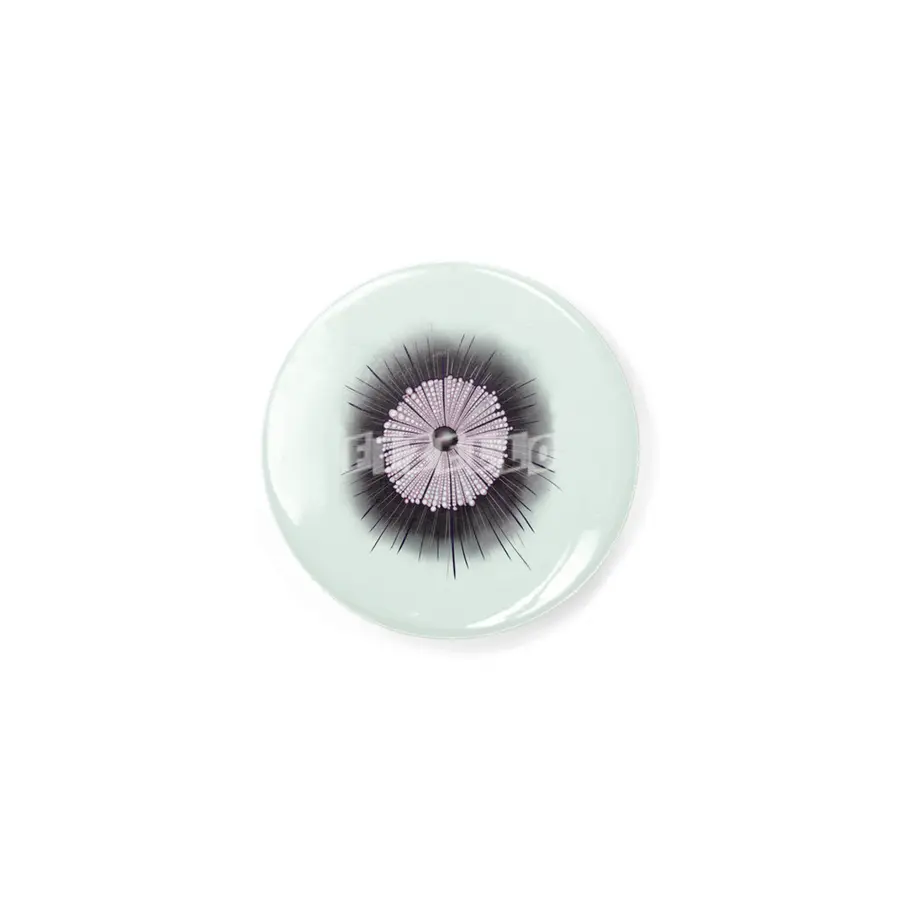 Heliozoa Microbe Microbiology Geek Digital Art Rozet