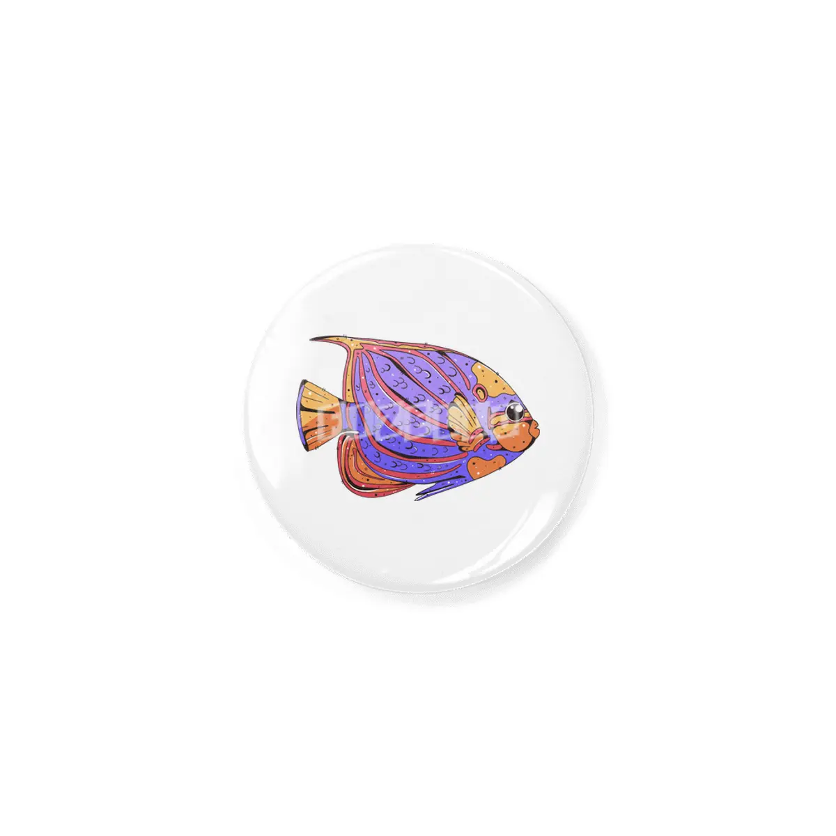 Bluering Angelfish Rozet