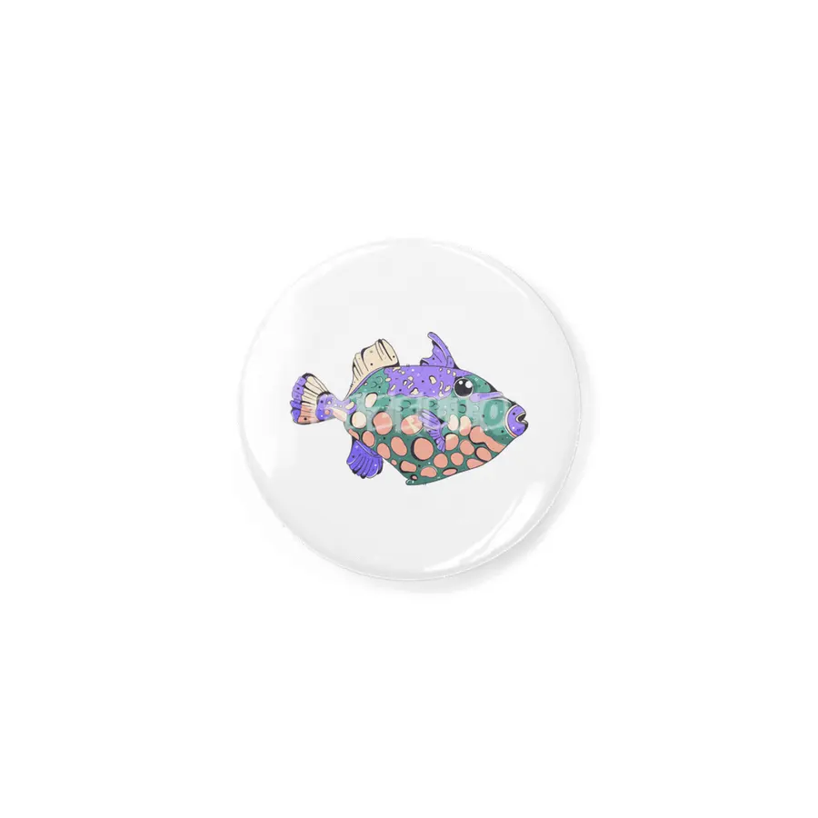 Clown Triggerfish Rozet