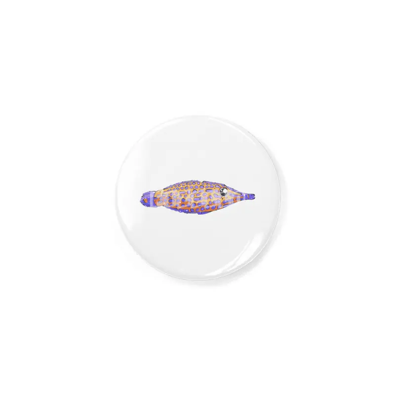 Orange Spotted Filefish Rozet