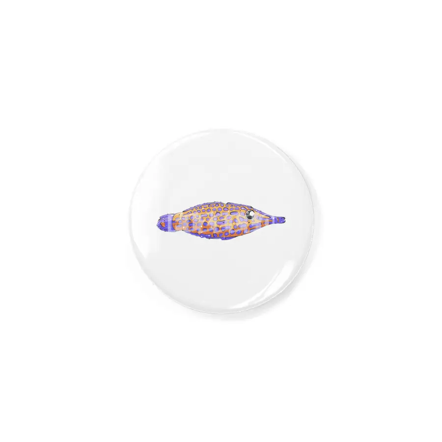 Orange Spotted Filefish Rozet