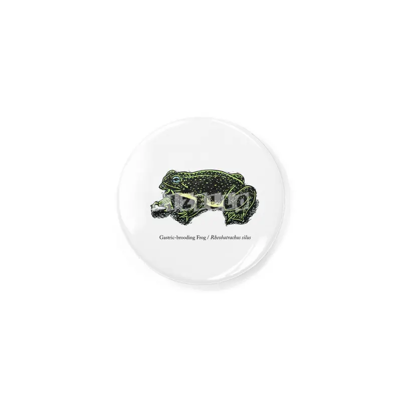Gastric-brooding Frog Rozet
