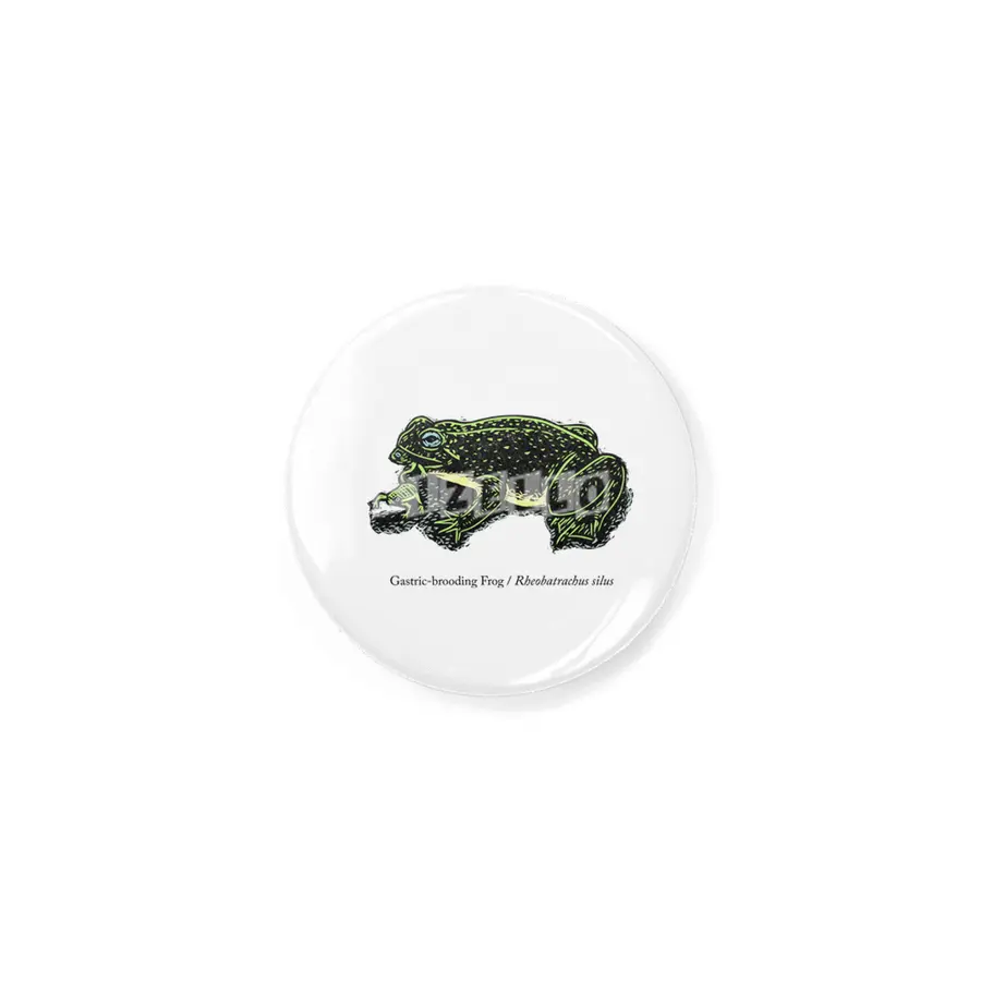 Gastric-brooding Frog Rozet