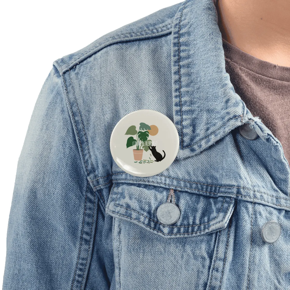 Cat and Plant 13: The Making of Monstera Rozet