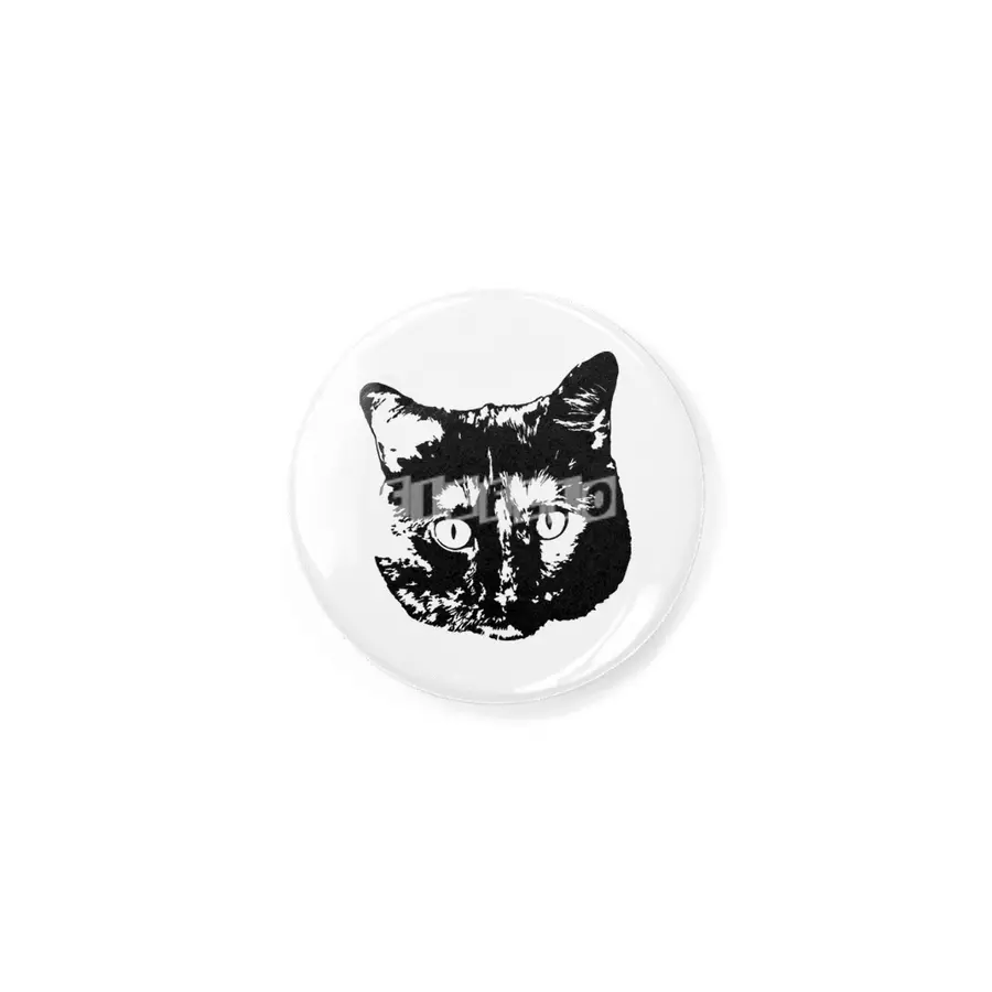 My cat Rozet