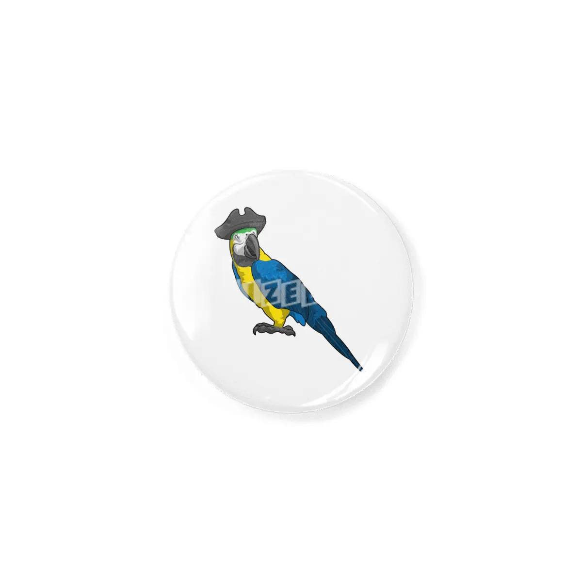 Parrot as Pirate with Hat Rozet