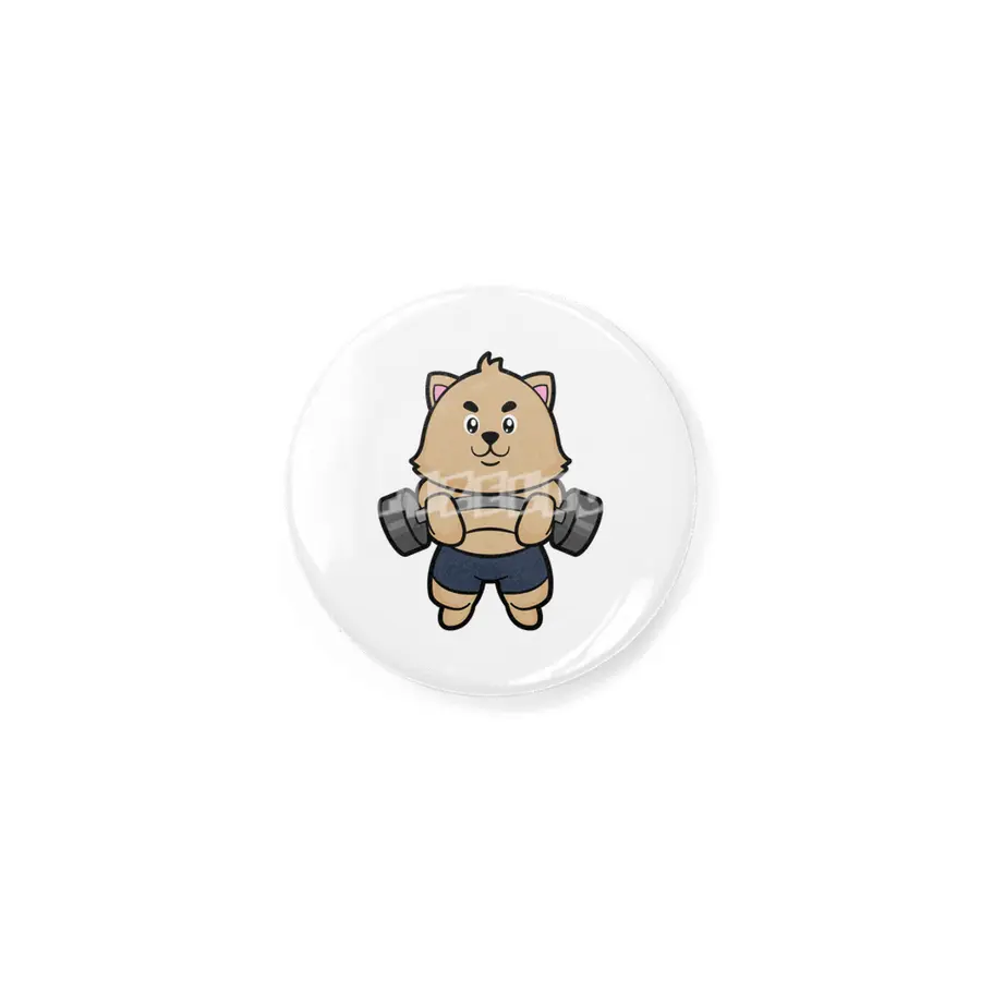 Cat at Bodybuilding with Barbell Rozet