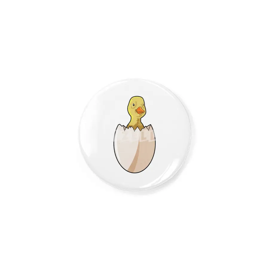 Duck with Egg shell Rozet