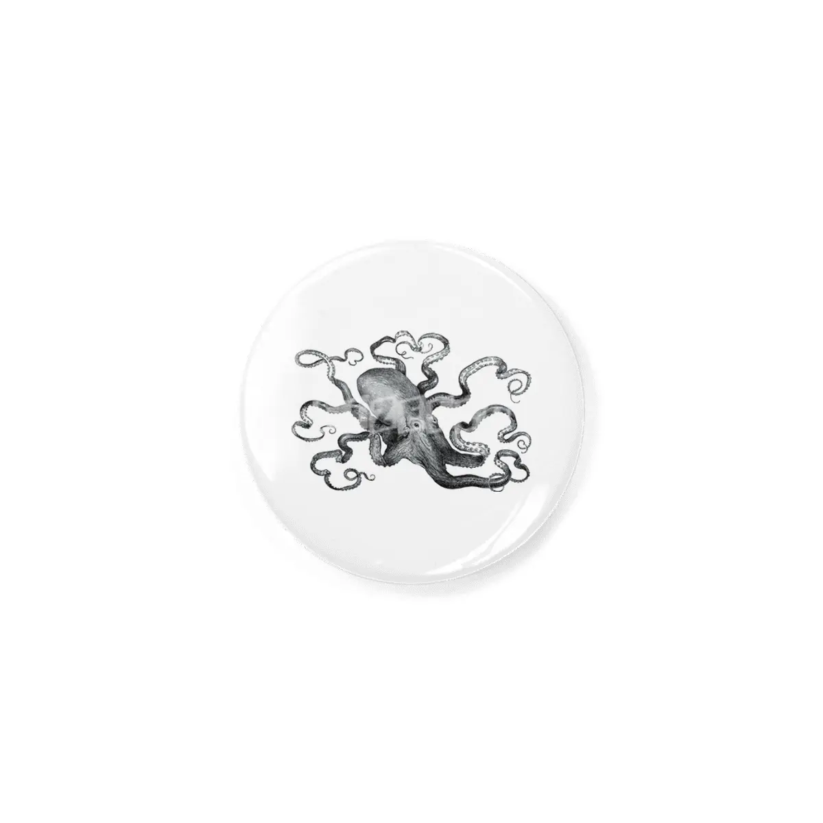 Octopus Rozet