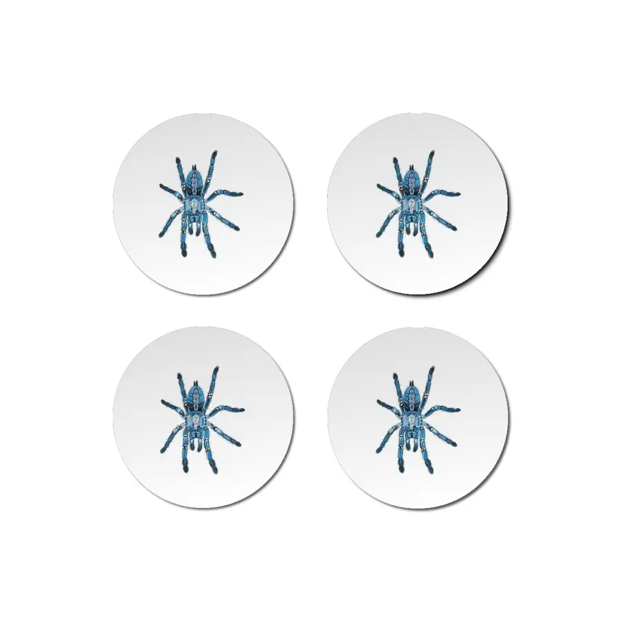 Gooty Blue Sapphire Tree Spider Bardak Altlığı