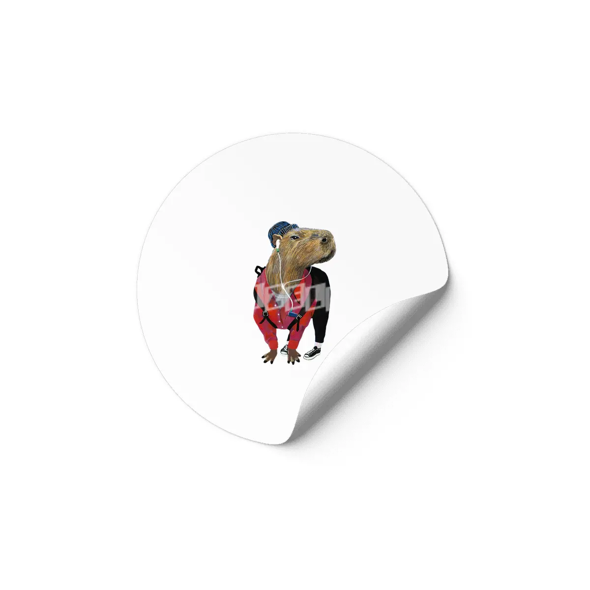 Capybara listening to some music Etiket