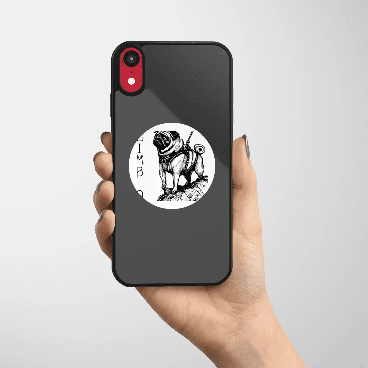 Climb On - Pug Etiket