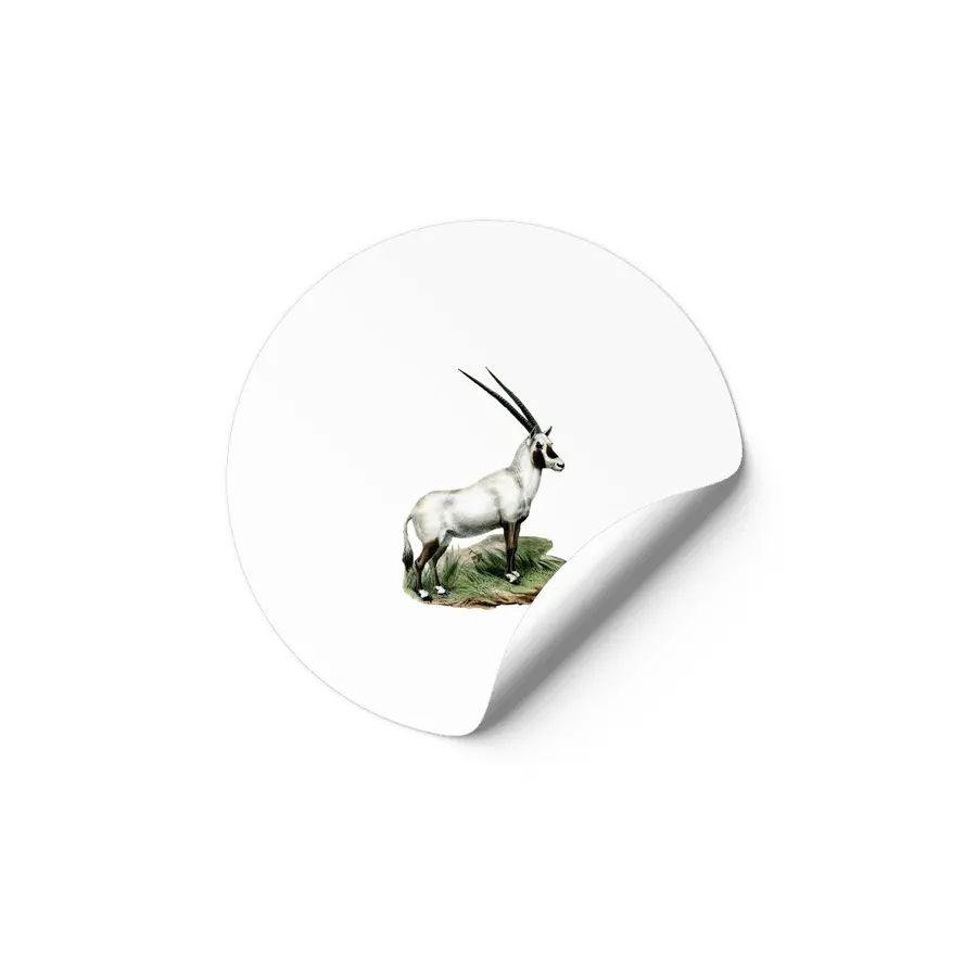 Arabian Oryx Etiket