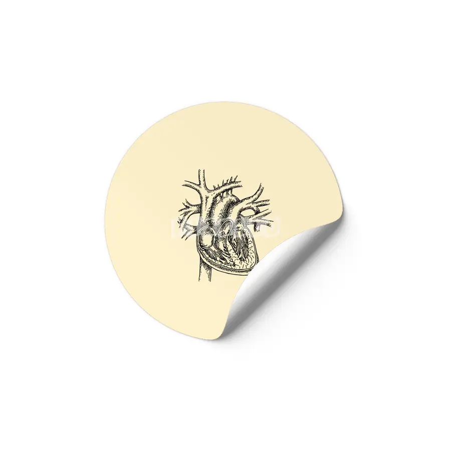 The Dissected Heart Sketch (Black) Etiket
