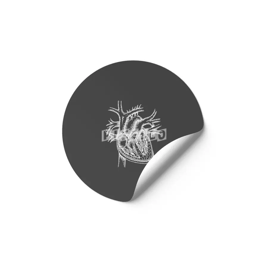 The Dissected Heart Sketch (White) Etiket