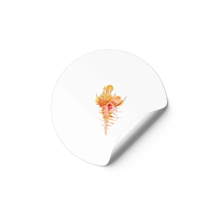 Seashell_Castle Etiket